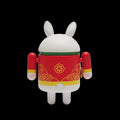 Year of the Rabbit 10